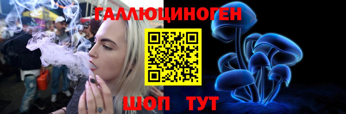 Псилоцибиновые грибы Psilocybe  Вход с VPN  Усолье-Сибирское 